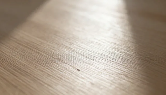 应用开发产品选型与使用维护建议